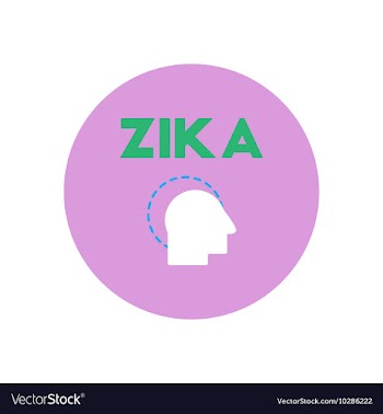 Icon on circle various symptoms of Zika vector image