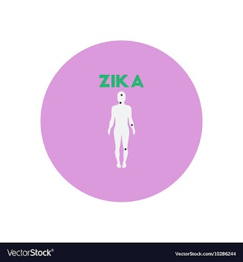 Icon on circle various symptoms of Zika vector image