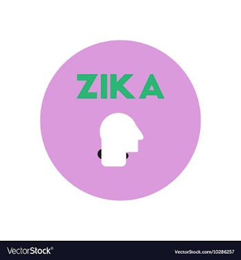 Icon on circle various symptoms of Zika vector image