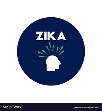 Icon on circle various symptoms of Zika vector image