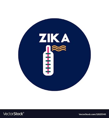 Icon on circle various symptoms of Zika vector image