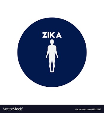 Icon on circle various symptoms of Zika vector image