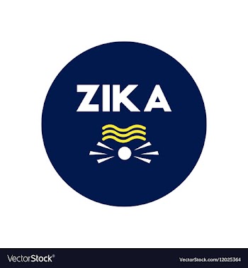 Icon on circle various symptoms of Zika vector image