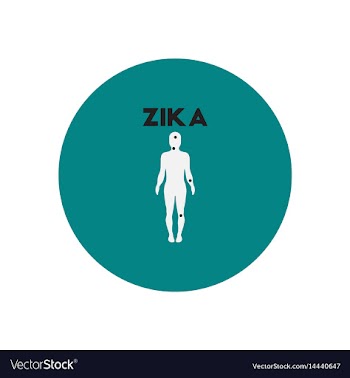 Icon on circle various symptoms of zika vector image
