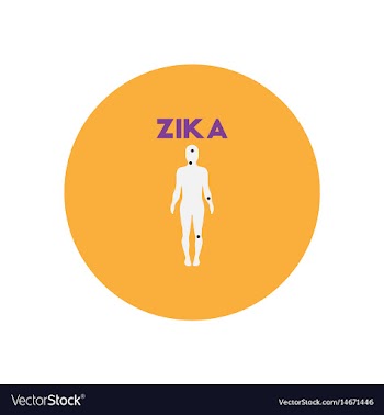 Icon on circle various symptoms of zika vector image