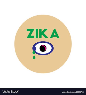 Icon on circle various symptoms of zika vector image