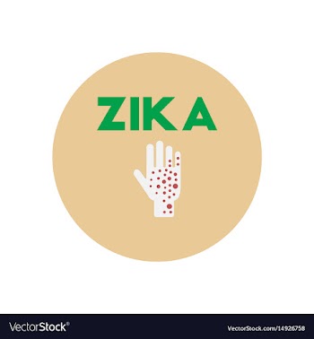Icon on circle various symptoms of zika vector image