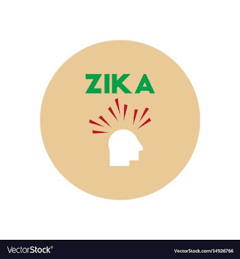 Icon on circle various symptoms of zika vector image