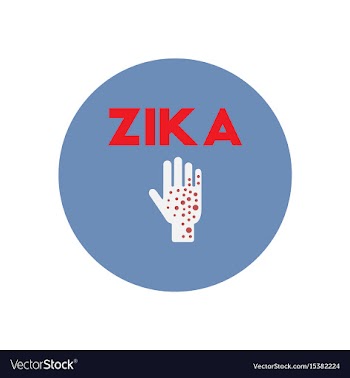 Icon on circle various symptoms of zika vector image