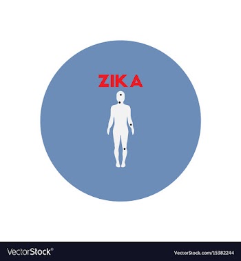 Icon on circle various symptoms of zika vector image