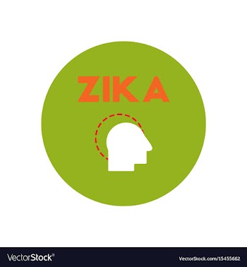 Icon on circle various symptoms of zika vector image