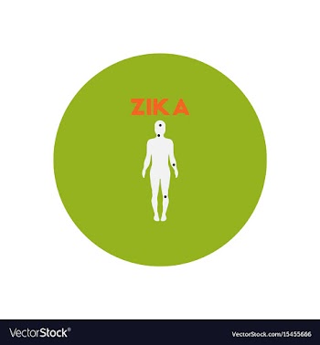 Icon on circle various symptoms of zika vector image