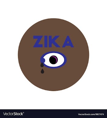Icon on circle various symptoms of Zika vector image