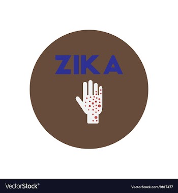 Icon on circle various symptoms of Zika vector image