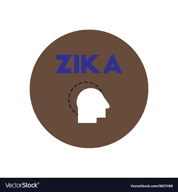 Icon on circle various symptoms of Zika vector image