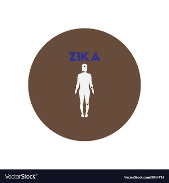 Icon on circle various symptoms of Zika vector image