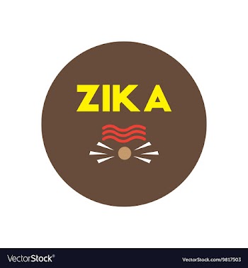 Icon on circle various symptoms of Zika vector image