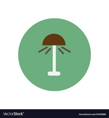 Icon on the white backgrounds in circles vector image