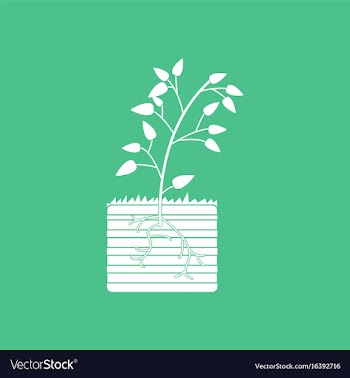 Icon plant and root vector image