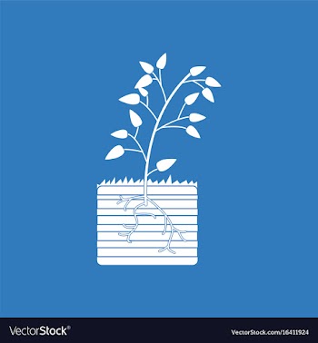 Icon plant and root vector image