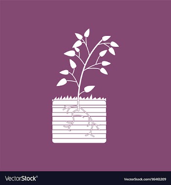 Icon plant and root vector image