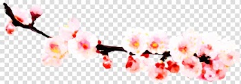 Icon, Plum flower transparent background PNG clipart