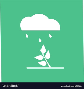 Icon rain and bush vector image