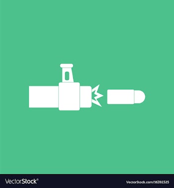 Icon rifle bullet shot vector image