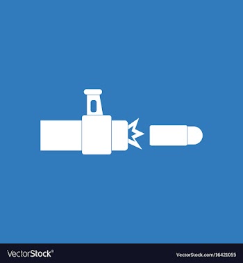 Icon rifle bullet shot vector image