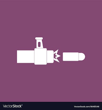 Icon rifle bullet shot vector image