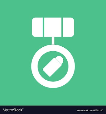 Icon rifle magazine with bullets vector image