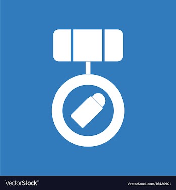 Icon rifle magazine with bullets vector image