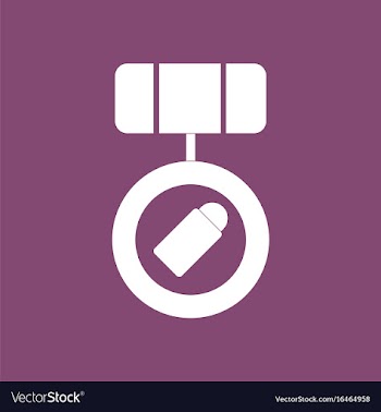 Icon rifle magazine with bullets vector image