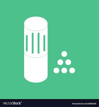 Icon shotgun bullet vector image