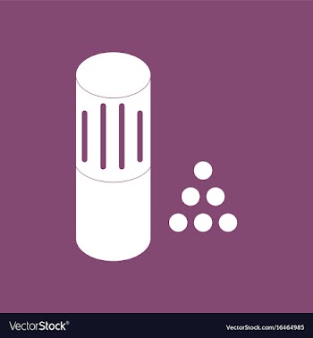 Icon shotgun bullet vector image