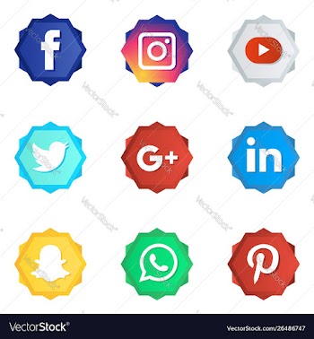 Icon social media vector image