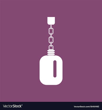 Icon soldier water bottle vector image