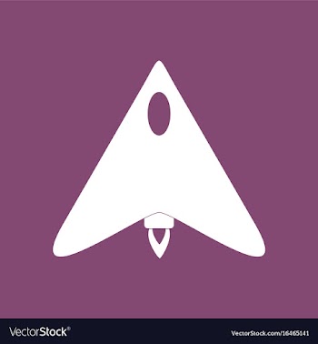 Icon stealth attack plane vector image