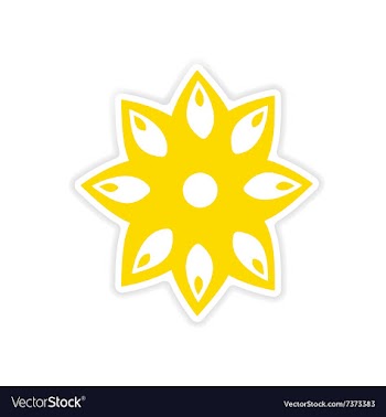 Icon sticker realistic design on paper anise vector image