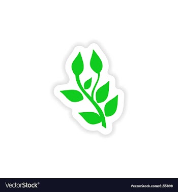 Icon sticker realistic design on paper basil vector image