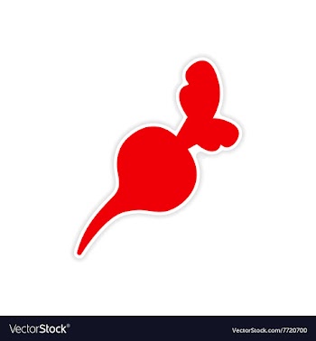 Icon sticker realistic design on paper beet vector image