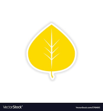 Icon sticker realistic design on paper leaves vector image