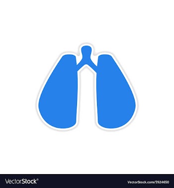 Icon sticker realistic design on paper lungs vector image