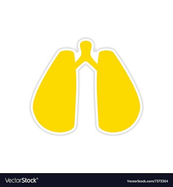 Icon sticker realistic design on paper lungs vector image