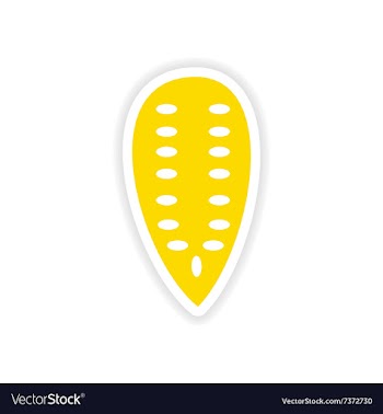 Icon sticker realistic design on paper Pumpkin vector image