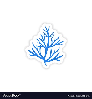 Icon sticker realistic design on paper rosemary vector image