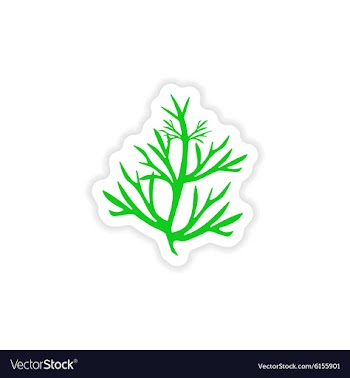 Icon sticker realistic design on paper rosemary vector image