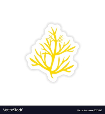Icon sticker realistic design on paper rosemary vector image