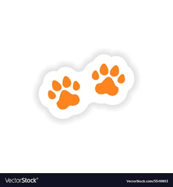 Icon sticker realistic design on paper traces vector image