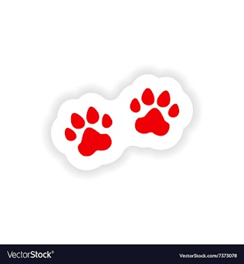 Icon sticker realistic design on paper traces vector image
